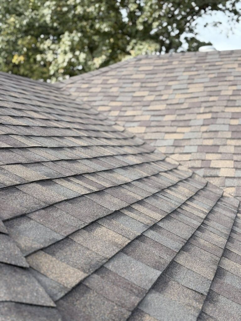 576272646 122108688567044848 1404053732638639567 n