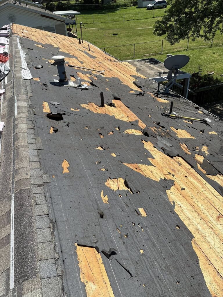 576455373 122108799849044848 3999596022864230459 n