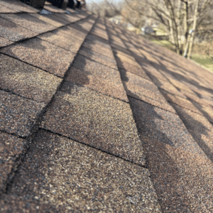 Untitled design 2026 02 11T105527.737