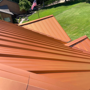 Untitled design - 2026-02-11T102339.638