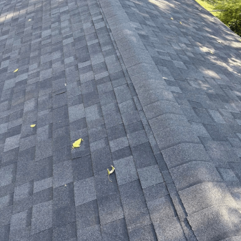 Untitled design - 2026-02-11T103058.815