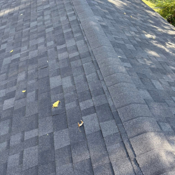 Untitled design - 2026-02-11t103058. 815