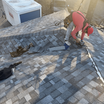 Untitled design - 2026-02-11T103917.519